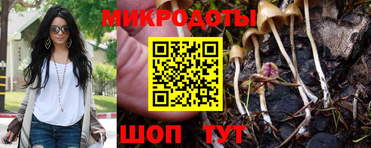 Псилоцибиновые грибы MAGIC MUSHROOMS Избербаш