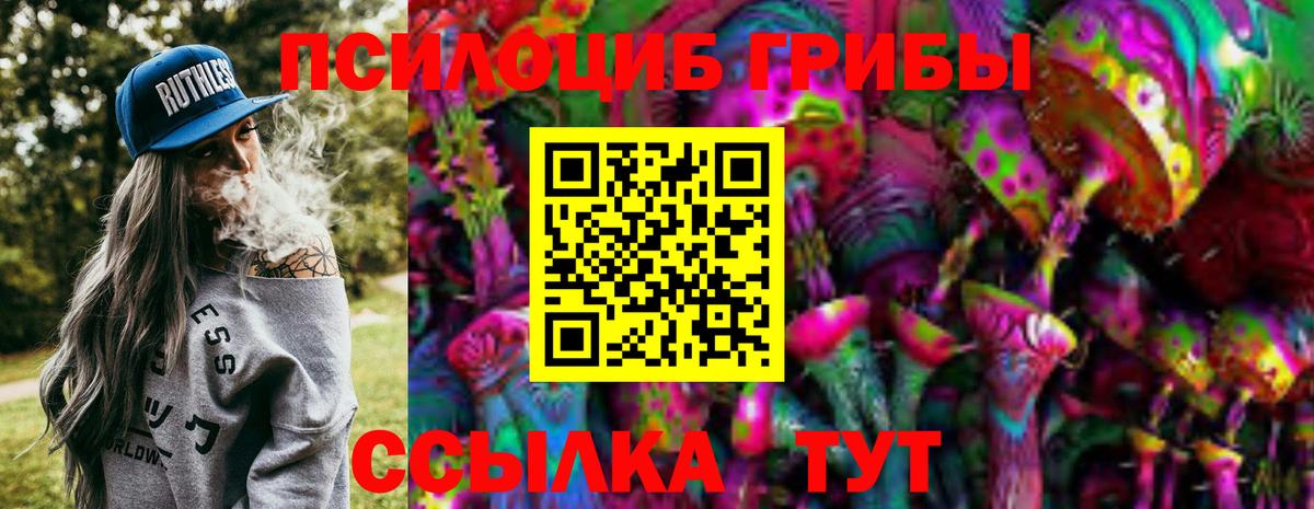 Галлюциногенные грибы MAGIC MUSHROOMS  Псилоцибиновые грибы мухоморы  Избербаш  Вход с VPN 