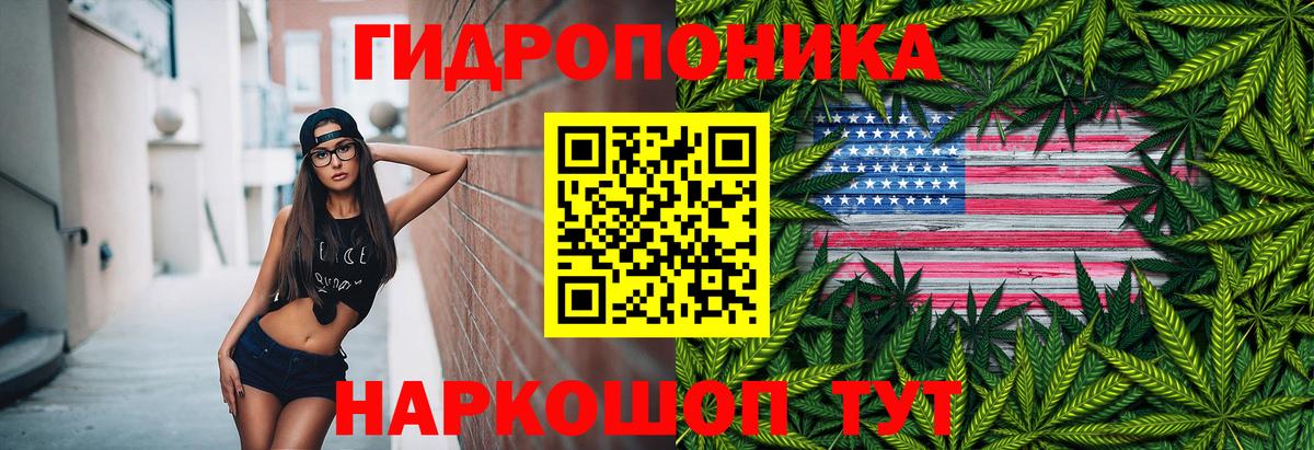 Бошки марихуана OG Kush Избербаш